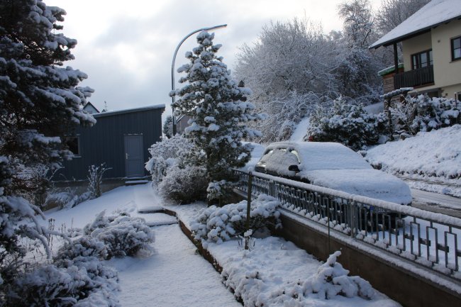 Winter 14.02.2009 007.jpg